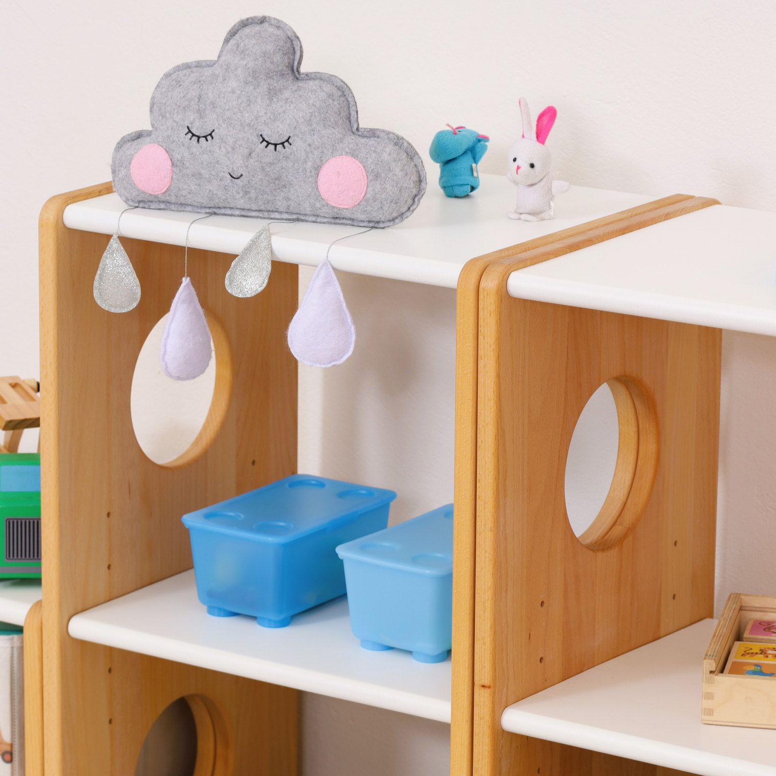 Set of 4 MonteSHELVES