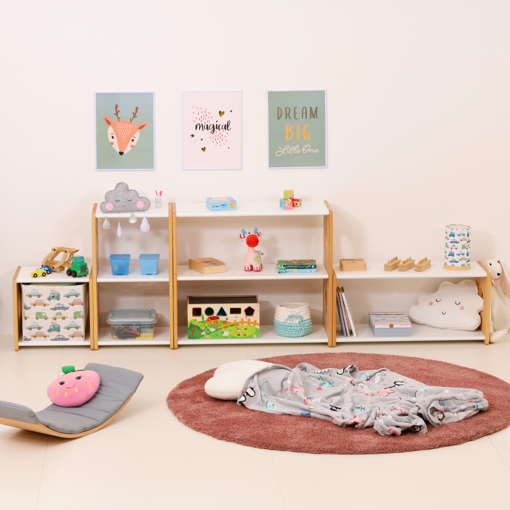 Set of 4 MonteSHELVES